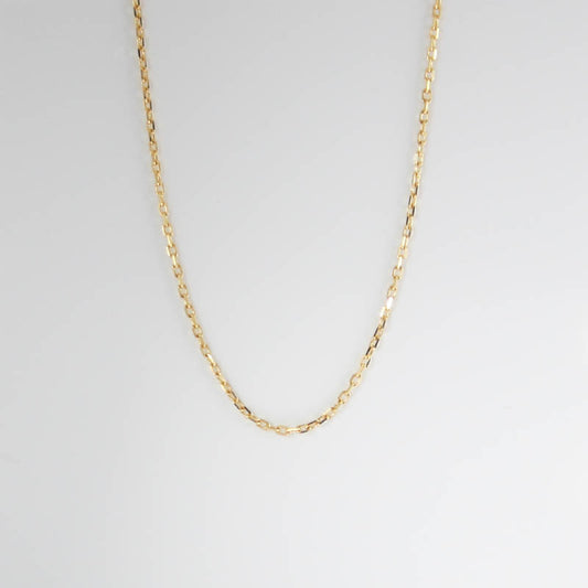 9ct Gold Anchor chain