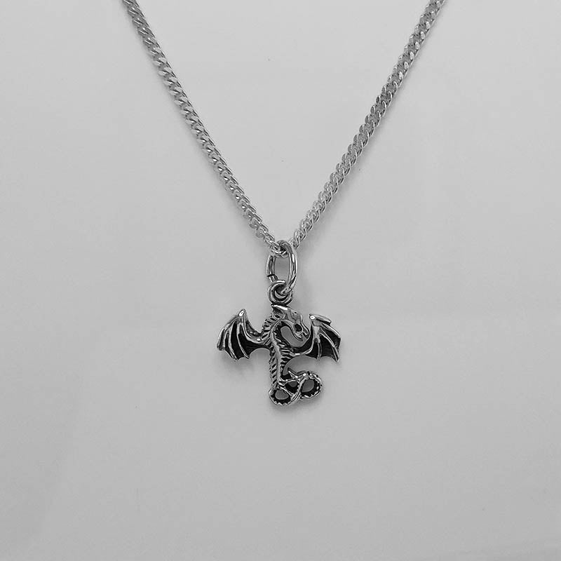 Small Silver Dragon Charm with a silver necklace