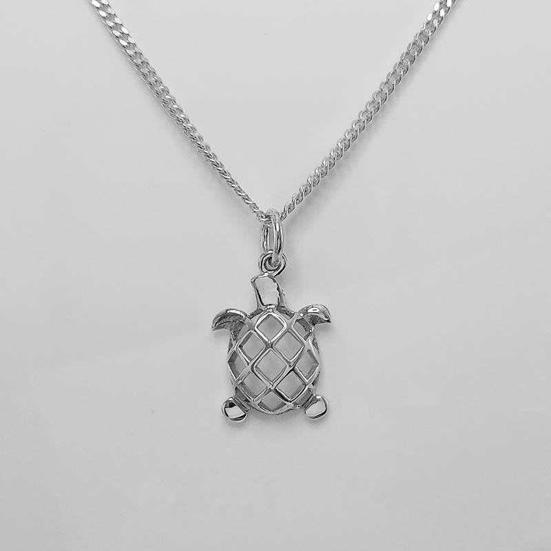 Silver Turtle Charm with a Silver Chain